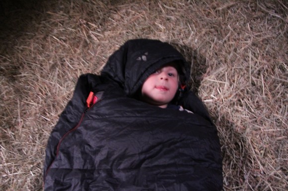 Global Mobile Family - Asleep in the hay 2
