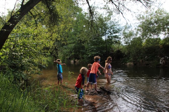 Global Mobile Family - Macho Pampa 1