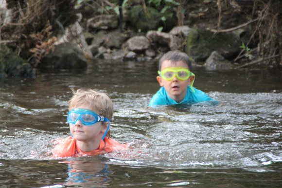 Global Mobile Family - Macho Pampa 2